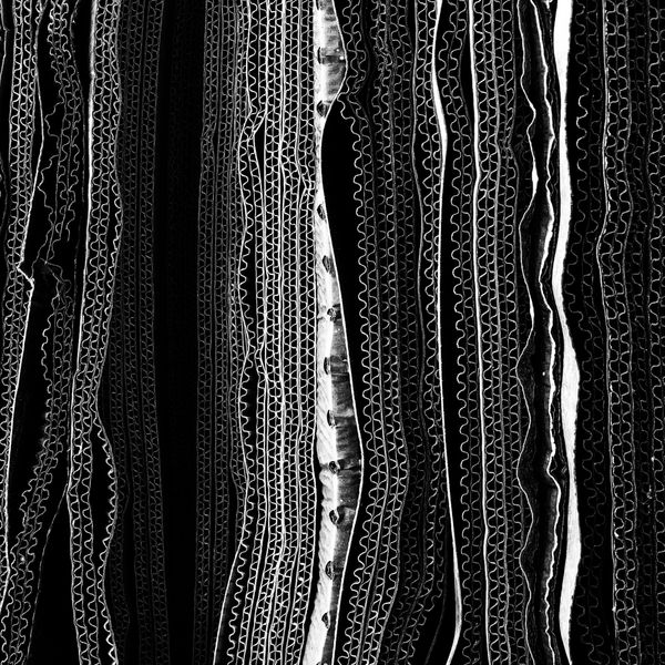 Работа фотографа Glenn Homann Corrugations, занявшая первое место в номинации Абстракция в фотоконкурсе 2018 iPhone Photography Awards - Sputnik Армения