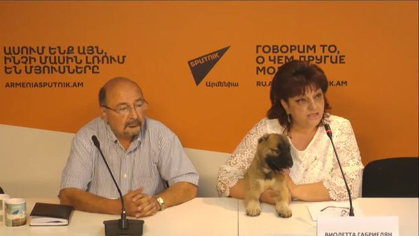 Кинолог Виолетта Габриелян рассказывает об армянском волкодаве - Sputnik Армения