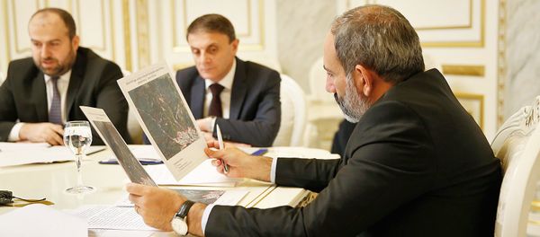 Совещание у премьер-министра Армении Никола Пашиняна по ворпосам лесного хозяйства (8 августа 2018). Еревaн - Sputnik Արմենիա