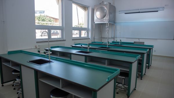 Торжественное открытие школы с китайским обучением (22 августа 2018). Ереван - Sputnik Армения