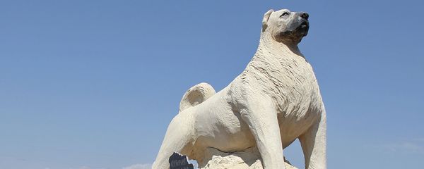 Торжественное открытие монумента армянскому гампру (22 августа 2018). Котайк - Sputnik Արմենիա