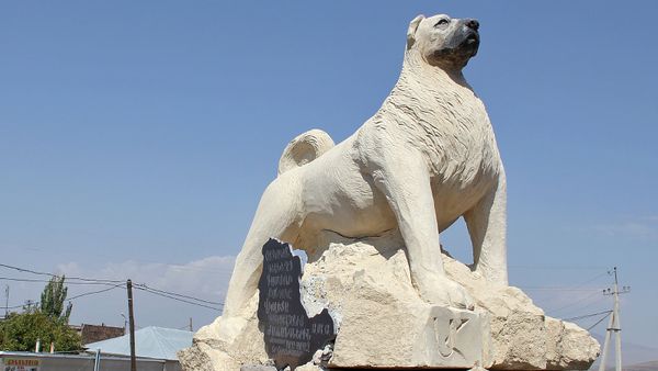 Торжественное открытие монумента армянскому гампру (22 августа 2018). Котайк - Sputnik Армения