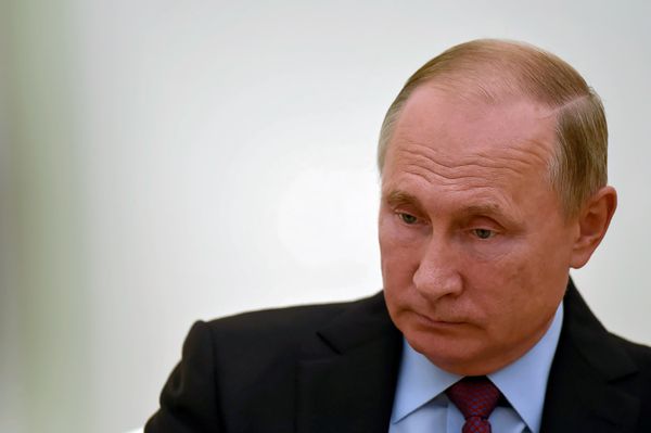 Վլադիմիր Պուտին - Sputnik Արմենիա
