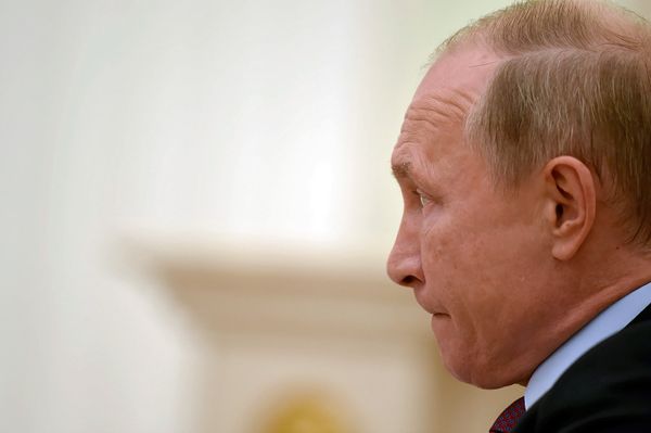 Վլադիմիր Պուտին - Sputnik Արմենիա