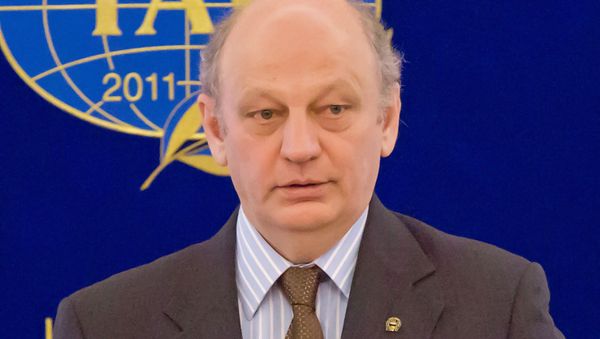Председатель совета директоров Национальной ассоциации объединений офицеров запаса Вооруженных сил Владимир Богатырев - Sputnik Армения