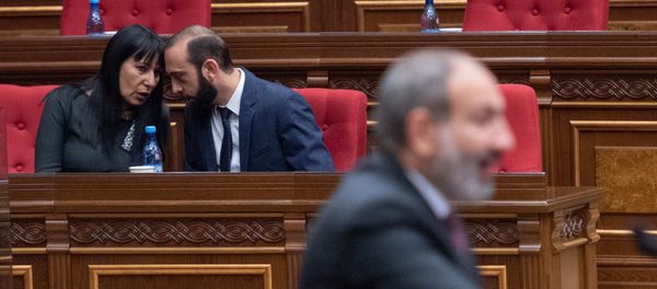 Врио первого вице-премьера Арарат Мирзоян и депутат от фракции Царукян Наира Зограбян на внеочередном заседании Парламента Армении (24 октября 2018). Еревaн Врио первого вице-премьера Арарат Мирзоян и депутат от фракции Царукян Наира Зограбян на внеочередном заседании Парламента Армении (24 октября 2018). Еревaн - Sputnik Армения