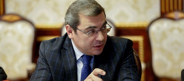 Председатель КГД Давид Ананян на совещании у премьер-министра (25 октября 2018). Еревaн Председатель КГД Давид Ананян на совещании у премьер-министра (25 октября 2018). Еревaн - Sputnik Армения