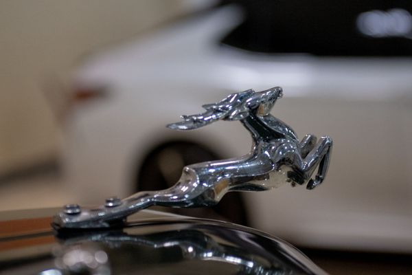 Олень - легендарный символ горьковского автозавода - Sputnik Армения
