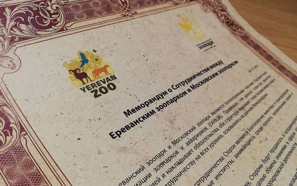 Меморандум о сотрудничестве между Ереванским и Московским зоопарками (30 октября 2018). Ереван - Sputnik Армения