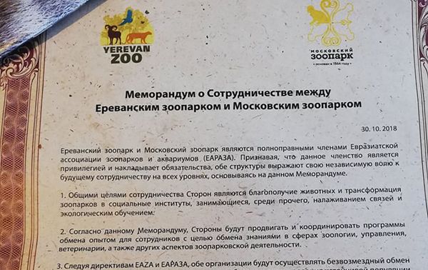 Меморандум о сотрудничестве между Ереванским и Московским зоопарками (30 октября 2018). Ереван - Sputnik Армения