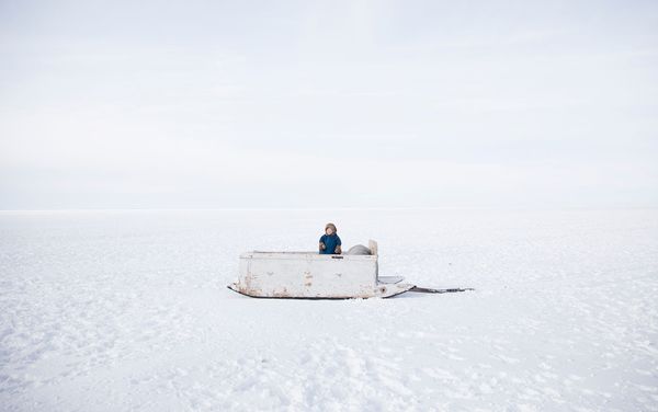 Снимок Цветочек фотографа Одида Вагенштайна. Портрет. Герой нашего времени, одиночные фотографии Снимок Цветочек фотографа Одида Вагенштайна. Портрет. Герой нашего времени, одиночные фотографии - Sputnik Армения