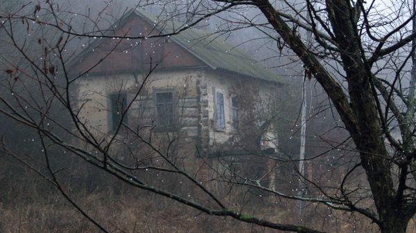 Деревня в Воронежской области - Sputnik Армения