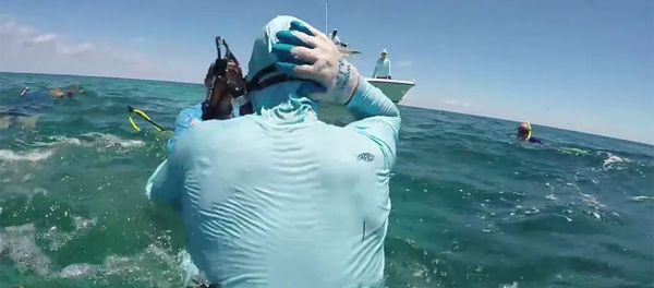 Нападение акулы на подводного охотника сняли на видео - Sputnik Արմենիա