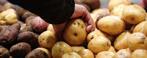 Картофель на прилавке Картофель на прилавке - Sputnik Армения