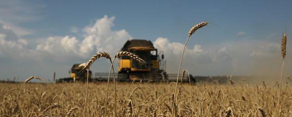 Уборка зерновых на Юге России - Sputnik Армения