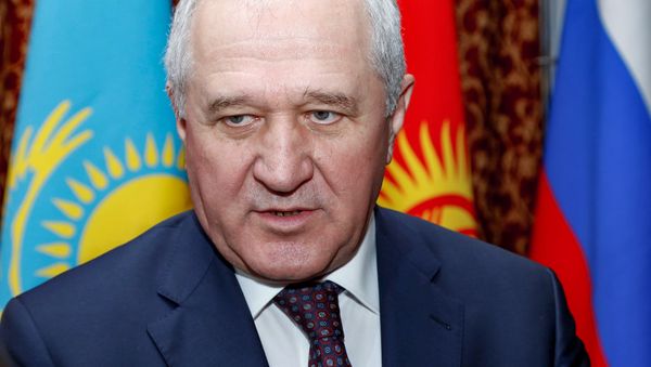 Руководитель Федеральной таможенной службы России Владимир Булавин - Sputnik Армения