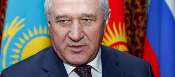 Руководитель Федеральной таможенной службы России Владимир Булавин Руководитель Федеральной таможенной службы России Владимир Булавин - Sputnik Армения