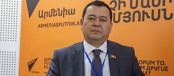 Координатор группы международных наблюдателей МПА СНГ Мирлан Бакиров - Sputnik Армения