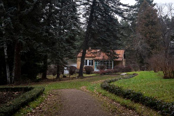 Степанаванский дендропарк - Sputnik Армения