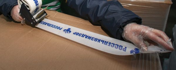 Сотрудница отдела пограничного ветеринарного контроля Россельхознадзора - Sputnik Армения