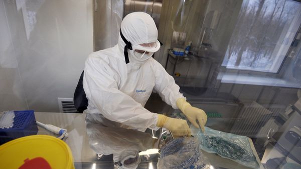 Сотрудница лаборатории ГУ НИИ эпидемиологии и микробиологии имени Н.Ф. Гамалеи, где российские ученые разработали вакцину против лихорадки Эбола - Sputnik Армения