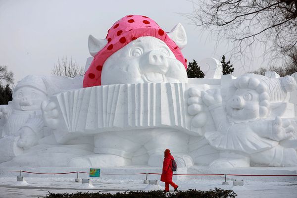 Посетитель около снежной скульптуры свиньи в парке города Харбин (4 января 2019). Китай - Sputnik Армения