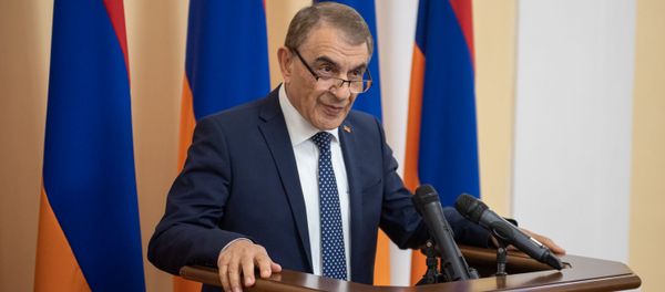 Ара Баблоян на приеме для прессы (11 января 2019). Еревaн - Sputnik Արմենիա