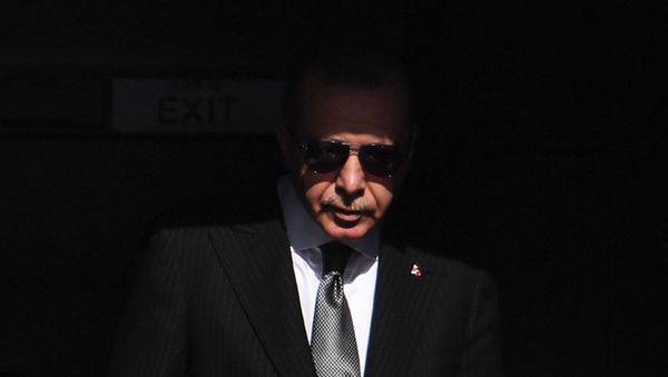 Президент Турции Реджеп Тайип Эрдоган - Sputnik Армения
