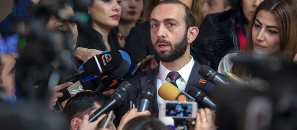 Арарат Мирзоян ответил на вопросы журналистов в кулуарах парламента (14 января 2019). Еревaн - Sputnik Արմենիա
