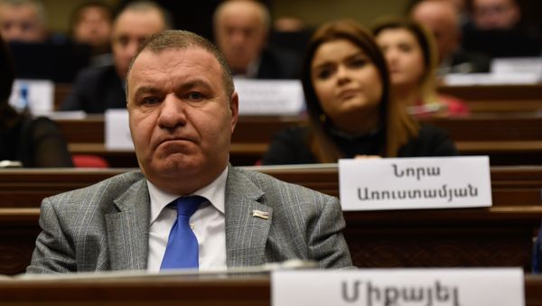 Депутат от фракции Процветающая Армения Микаел Мелкумян на заседании парламента Армении (15 января 2019). Еревaн - Sputnik Армения