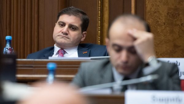 Депутат от фракции “Просвещенная Армения Арман Бабаджанян на заседании Парламента (18 января 2019). Еревaн - Sputnik Արմենիա