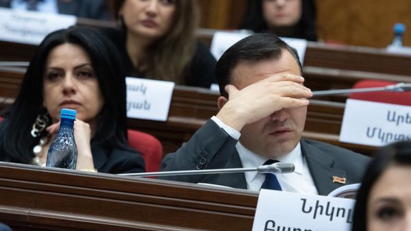 Депутат от фракции “Мой Шаг” Николай Багдасарян на заседании Парламента (18 января 2019). Еревaн - Sputnik Армения