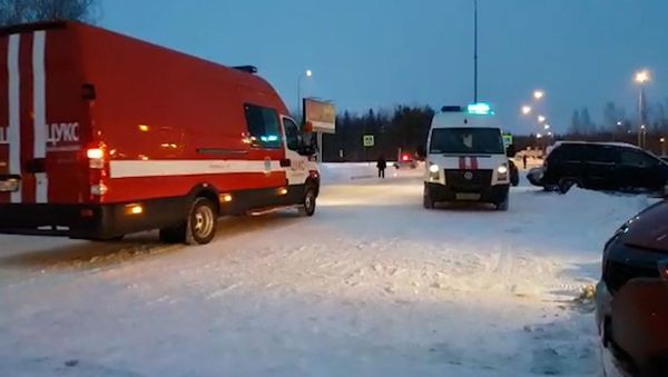 Кадры задержания авиадебошира на рейсе SU1515 Сургут-Москва - Sputnik Армения