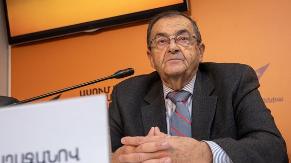 Пресс-конференция по вопросу возможного помилования Мгера Енокяна (24 января 2019). Еревaн - Sputnik Армения
