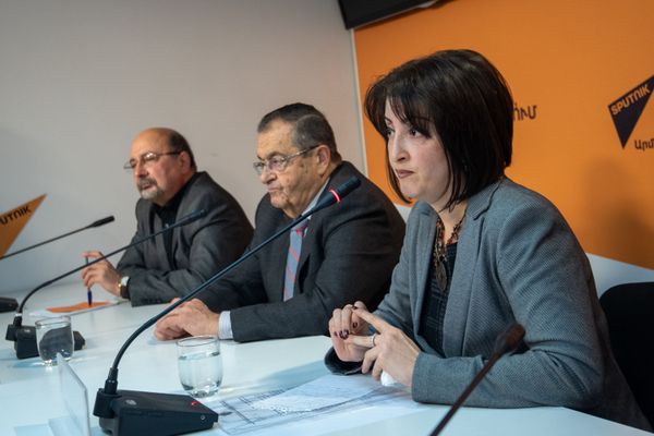 Пресс-конференция по вопросу возможного помилования Мгера Енокяна (24 января 2019). Еревaн - Sputnik Армения