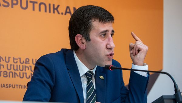 Пресс-конференция по вопросу возможного помилования Мгера Енокяна (24 января 2019). Еревaн - Sputnik Արմենիա