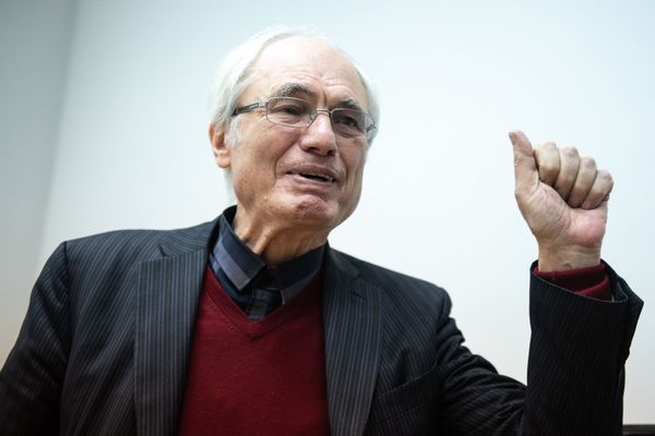 Любимец маэстро Мансуряна, или Как появилось самое музыкальное дерево Еревана Любимец маэстро Мансуряна, или Как появилось самое музыкальное дерево Еревана - Sputnik Армения