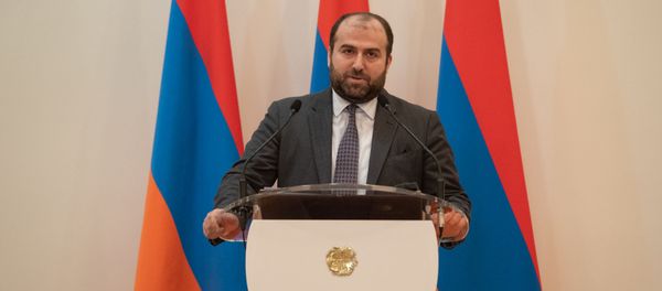 Министр охраны природы Эрик Григорян во время принятия присяги правительства Армении (30 января 2019). Еревaн - Sputnik Армения