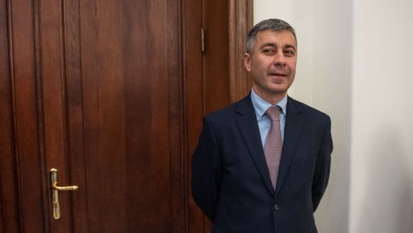 Владимир Карапетян - Sputnik Армения