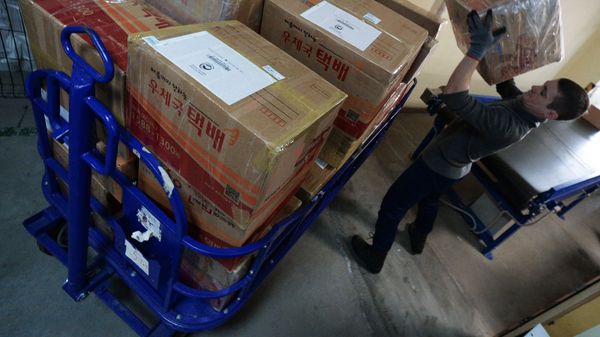 Тележка с посылками - Sputnik Армения