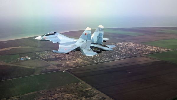 Многоцелевой истребитель Су-30СМ на Международном конкурсе «Авиадартс-2018» (27 марта 2018). Краснодарский край - Sputnik Армения