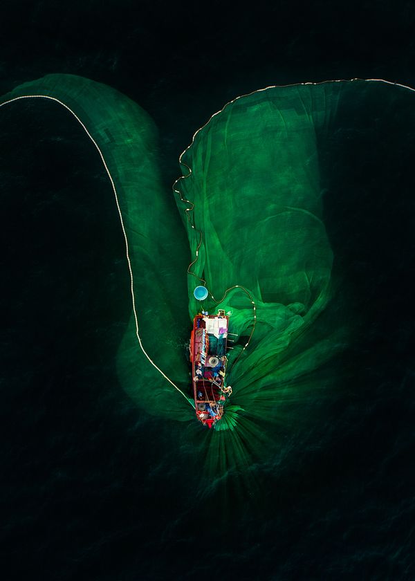 Снимок Flower on the Sea вьетнамского фотографа Trung Pham Huy, вошедший в шорт-лист конкурса 2019 Sony World Photography Awards в категории Travel - Sputnik Армения