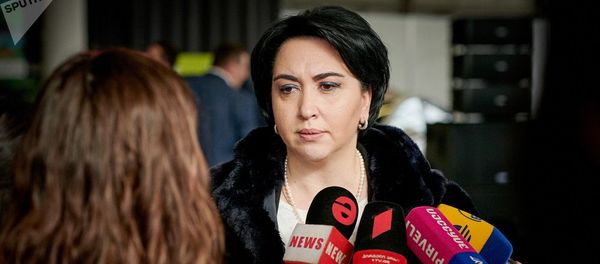 Депутат парламента от правящей партии Грузинская мечта – демократическая Грузия Эка Беселия - Sputnik Армения