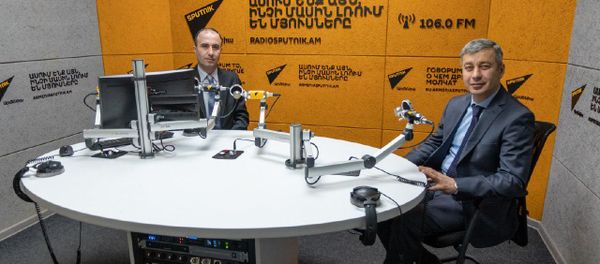 Սպուտնիկ զրույց-Վլադիմիր Կարապետյան (11.02.19) - Sputnik Արմենիա