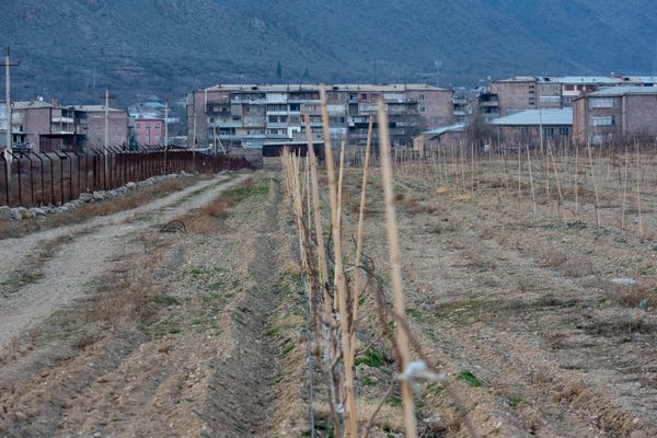 Сады на месте пустыни в Армении: на границе с Ираном  создается фисташковый рай - Sputnik Армения