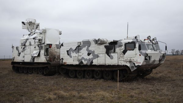 Арктический зенитный ракетный комплекс ТОР-М2ДТ - Sputnik Армения