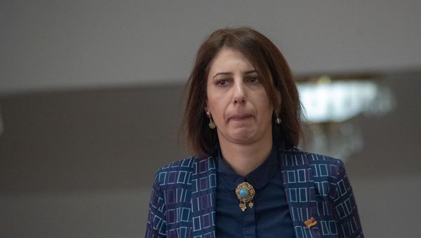 Депутат от фракции Мой Шаг София Овсепян на внеочередном заседании парламента Армении (12 февраля 2019). Еревaн - Sputnik Армения