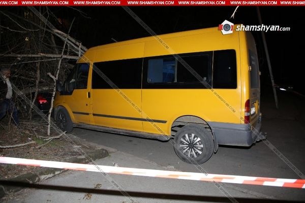 Сильный ветер в Ереване: огромное дерево упало на припаркованные автомобили - Sputnik Армения