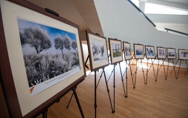 Экспозиция с фотографиями Красноярска и Красноярского края в здании филиала МГУ (20 февраля 2019). Еревaн - Sputnik Армения