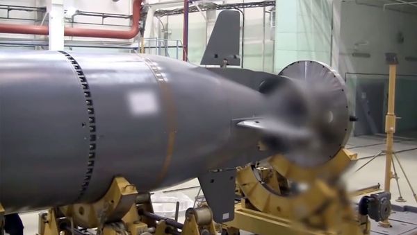 Океанская многоцелевая система «Посейдон» - Sputnik Армения